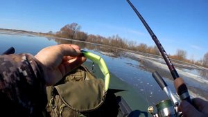 Обзор воблеров от Фмагазин: Daiwa Morethan X-Cross, Jackall Rerange