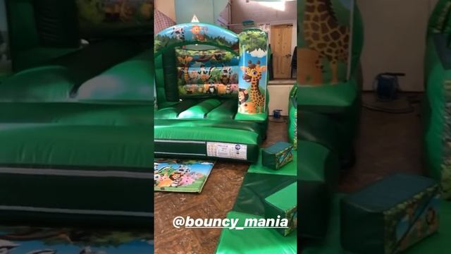 Jungle Mania Package