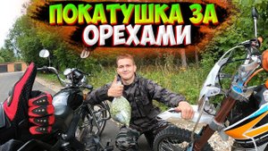 ПОКАТУШКА НА АЛЬФЕ И ПИТБАЙКЕ ЗА ОРЕХАМИ