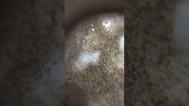 Лупа для черного шлиха смотреть онлайн