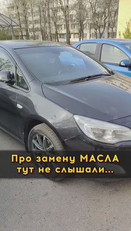 Замена масла? Зачем?🤦♂️ #автоизевропы #автоподборспб #автоподбормосква