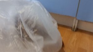 Персик в огромном пакете