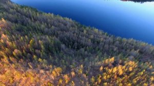 Бокситогорск Селищенский карьер