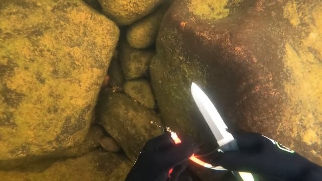 ДОЛГО ИСКАЛ И НАШЁЛ ЗОЛОТУЮ ЯМУ / I LOOKED FOR A LONG TIME AND FOUND A GOLD PIT смотреть онлайн