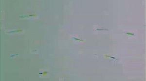 Ф.Шопен "Прелюдия №"