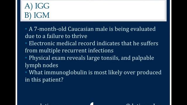 446: IgG or IgM