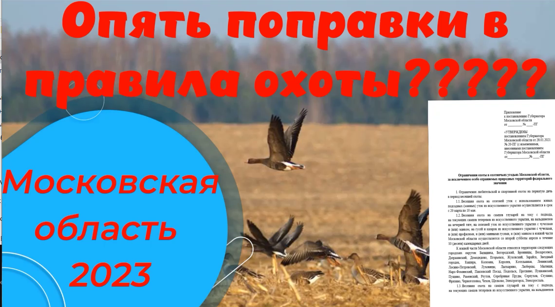 Поправки в правила охоты 2023 в Московской области. Добор подранков при охоте на гуся и селезня