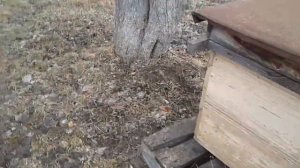 Пеноулик мини плюс