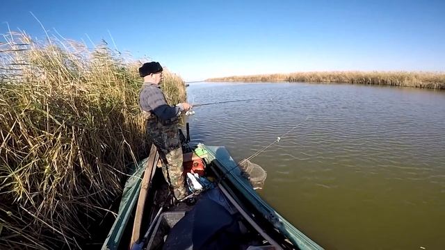 2018 ноябрь Рыбалка темрюк смотреть онлайн