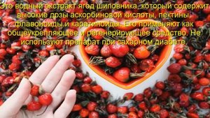 Польза и вред шиповника для здоровья человека