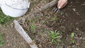 Противосорнячная вилка вычёсывать корни сорняков.