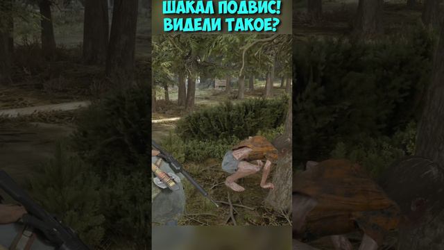 Шакал ПОДВИС! Видели такое #shorts #daysgone #жизньпосле #шакал #прикольныйбаг