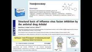 10. Дубынин В. А. - Физиология иммунитета - Грипп и коронавирус.mp4