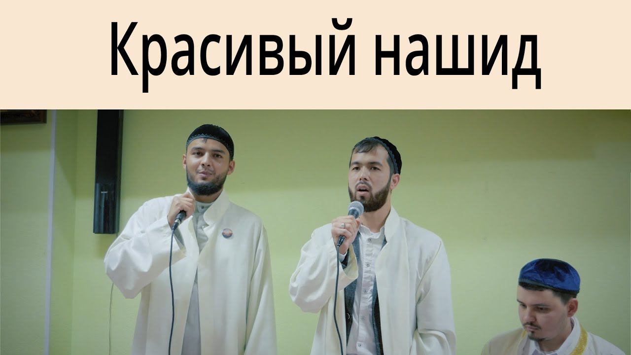 Красивый нашид