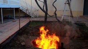 ПРИГОТОВИЛИ ОГРОМНОГО БАРАНА ВЕСОМ 25 КИЛОГРАММ В ЯМЕ Целиком