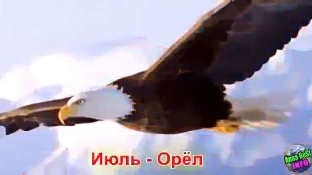 Какая ты птица по знаку зодиака???? смотреть онлайн