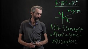 66. Линейные отображения прямой и плоскости. Алексей Савватеев. 100 уроков математики