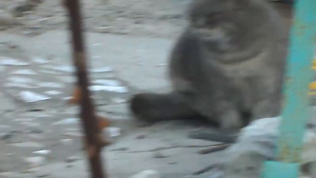 Что случилось с кораблём ???
