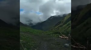 Омар Келеб На природе