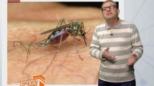 Спросите дядю Вову. Сколько живут Комары