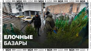 Московские елочные базары будут работать до 31 декабря - Москва 24
