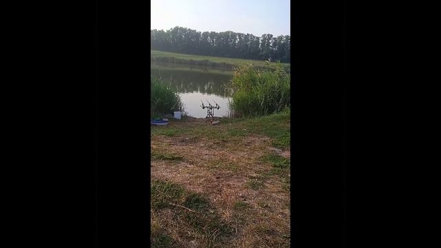 12 часовая рыболовная сессия. И трофей в улове. смотреть онлайн