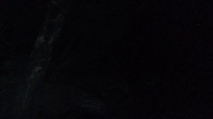 Песни под гитару отель Калифорния на русском