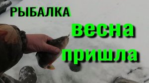 РЫБАЛКА.ВЕСНА ПРИШЛА....mp4