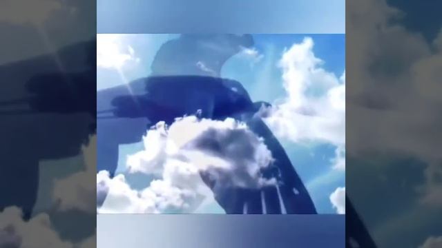 Праздник белых журавлей. смотреть онлайн