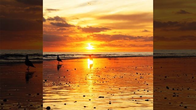 Spanish Guitar Meditation On the Shore Of Sea (feat. Anna Moor & Lana Ross) смотреть онлайн