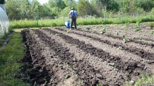 Полольники. Нева МБ 2 Мультиагро.