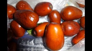 Зизифус полезные свойства, от каких болезней поможет