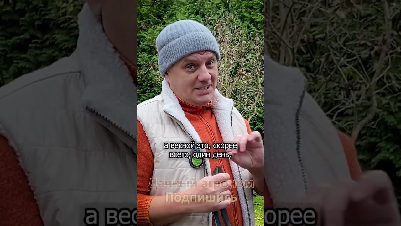Когда обрезать плодовые деревья Дачный агроном