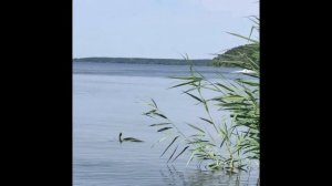 Обь ГАЗИСО-HONDA 20