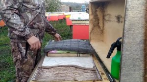 Последняя обработка пчел осенью.