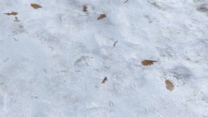 Quick Snow add-on for blender feature video