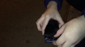 iPhone 13 - Drop Test! Такого вы точно не ждали…