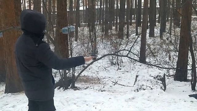 Поползень, гайка (буроголовая гаичка) и синица едят с руки. Стремительный баттл двух гаек на 00:59 смотреть онлайн