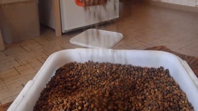 Перга пчелинная очищенная смотреть онлайн