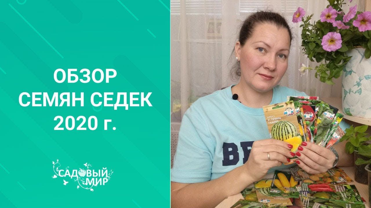 Что посадить на рассаду в сезон 2020? Советуем то, в чем уверены! Обзор семян от СеДек. смотреть онлайн