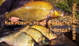 КАК ЛОВИТЬ ЛЕЩА в Августе? ГДЕ? КОГДА? НЮАНСЫ !