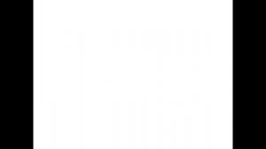 Фотография - искусство светописи. Натюрморт и пейзаж жанровые темы фотографии.