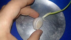 Александр Пичуев СИЛЬНЫЙ РИТУАЛ КАК СНЯТЬ#ЕГИЛЬЕТ/ПОЛОВУЮ ПРИВЯЗКУ!?АВТОРСКИЙ