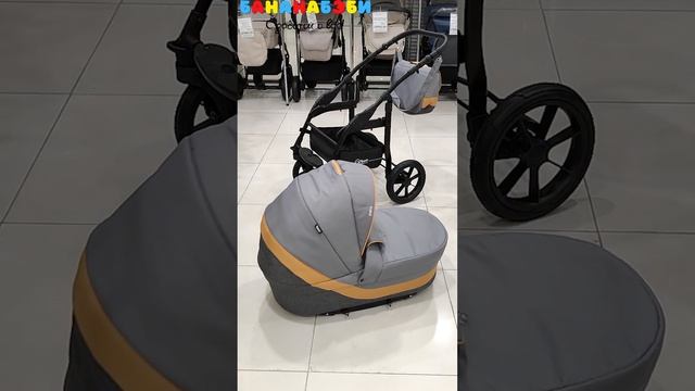 Коляска 2в1 Rant PATIO