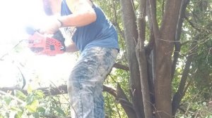 звук бензопилы