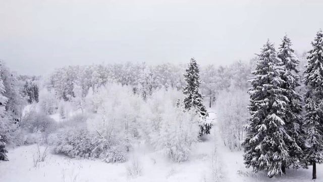 Зима 2021. Лобня. Красная поляна. Цыганский пруд. DJI Mini2 cinematic смотреть онлайн