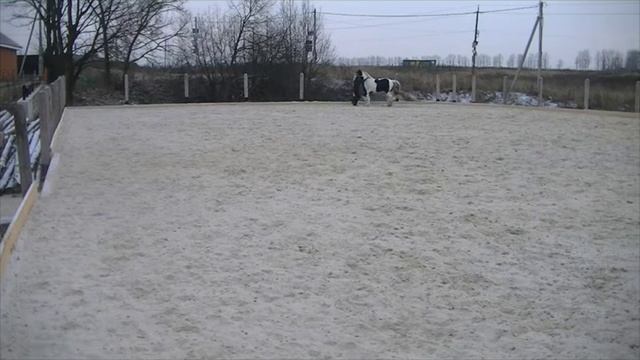 Пятна в руках 28 11 14