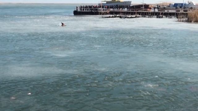 28 02 17 противопаводковые учения в Веселовском районе смотреть онлайн