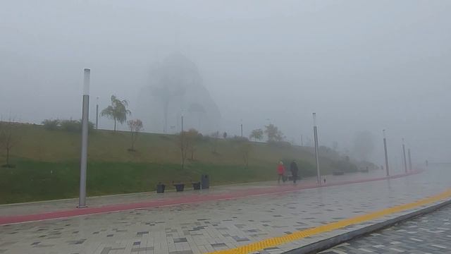 Туманное утро 2 ноября 2021 г. смотреть онлайн