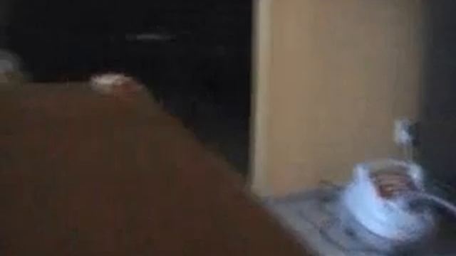 slovakia julia malacky смотреть онлайн